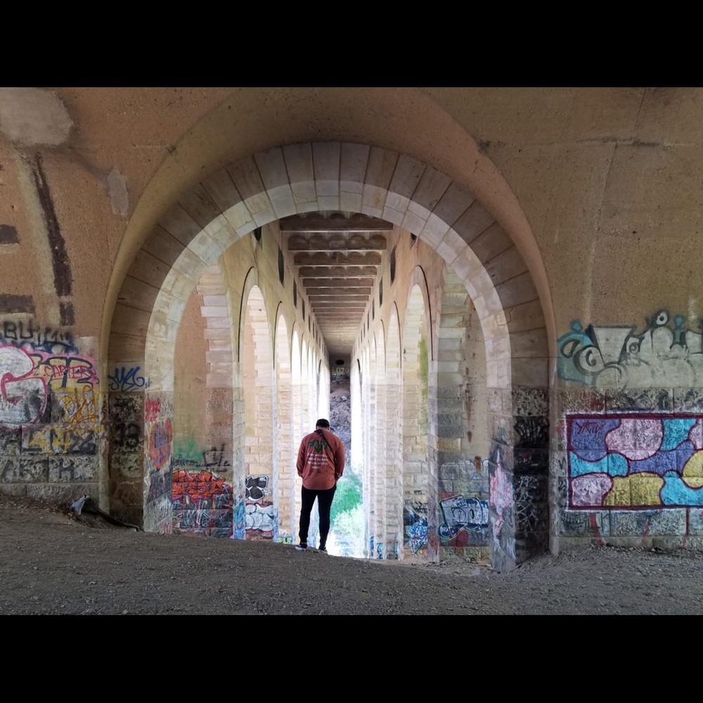 Meet your Posher, Wayne